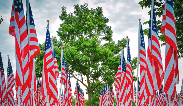 Rows of American flags displayed outdoors beneath a cloudy sky, symbolizing patriotism and honoring veterans.