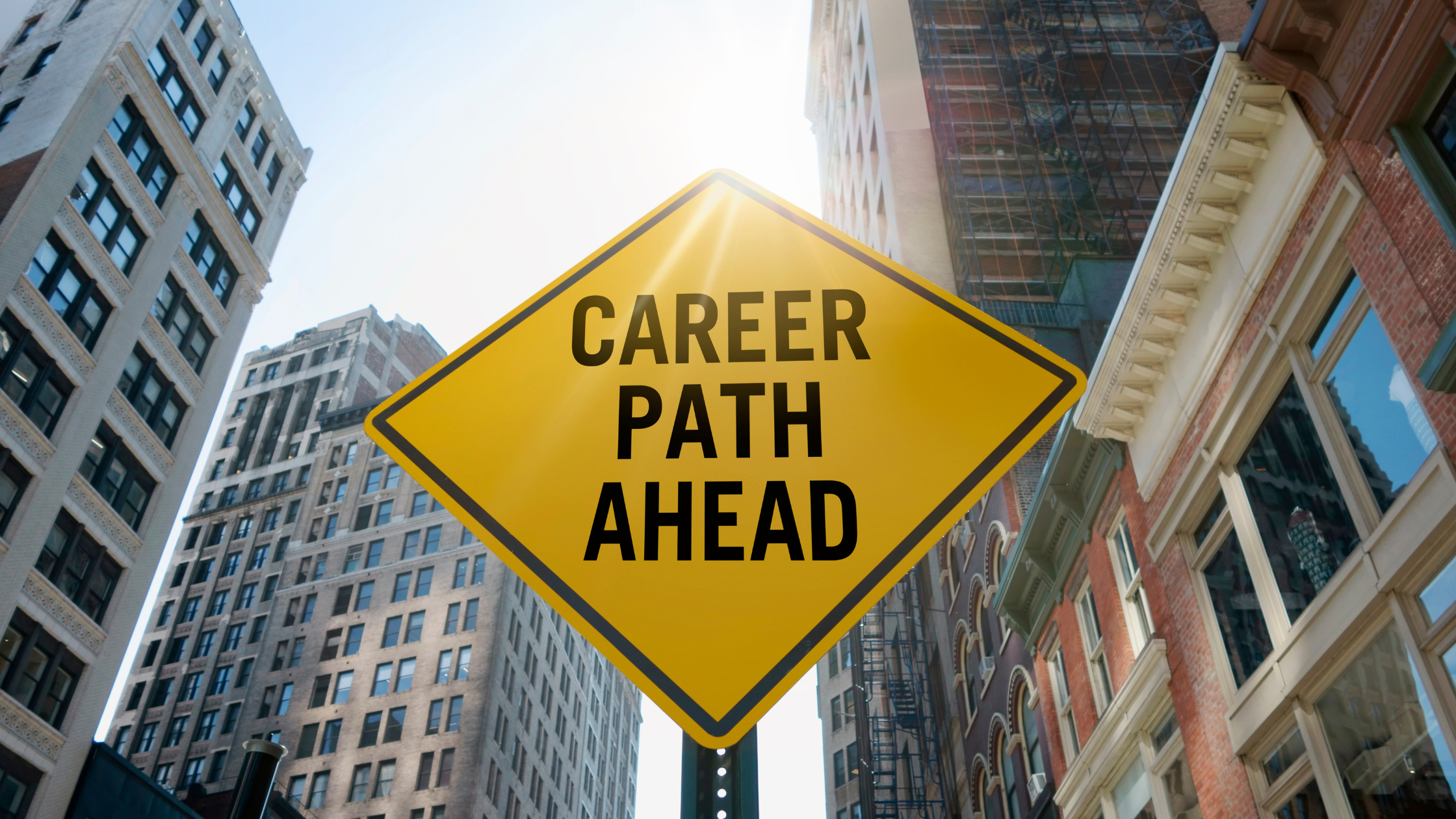 new carrer career change career development career path nee job job search 
